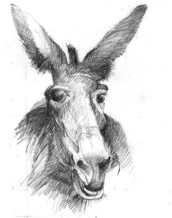 diagdonkey copy
